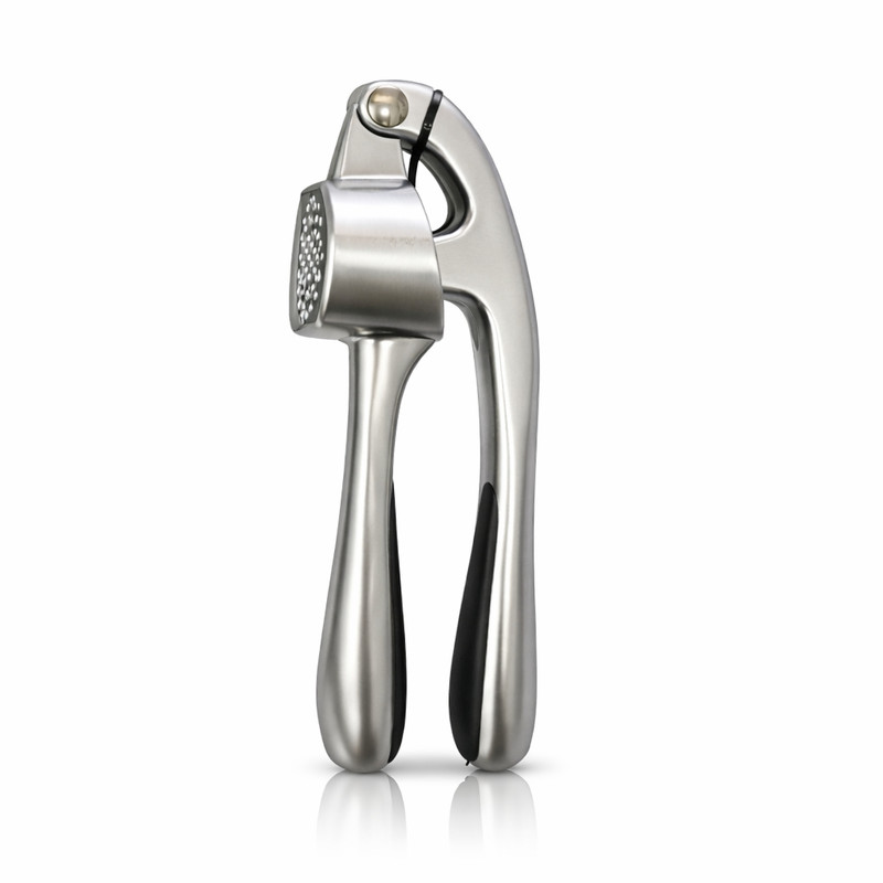 سیر له‌ کن مدل شینگیا